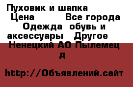 Пуховик и шапка  Adidas  › Цена ­ 100 - Все города Одежда, обувь и аксессуары » Другое   . Ненецкий АО,Пылемец д.